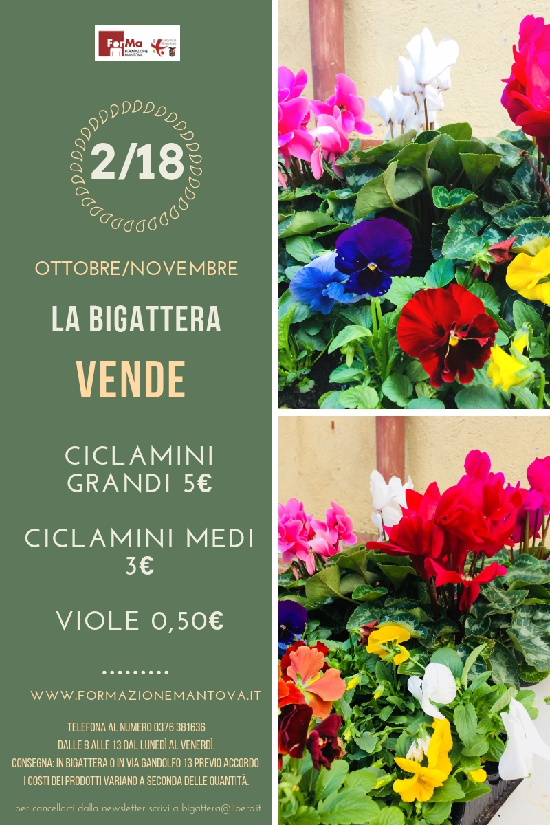 2018 2 NEWSLETTER BIGATTERA ottnov