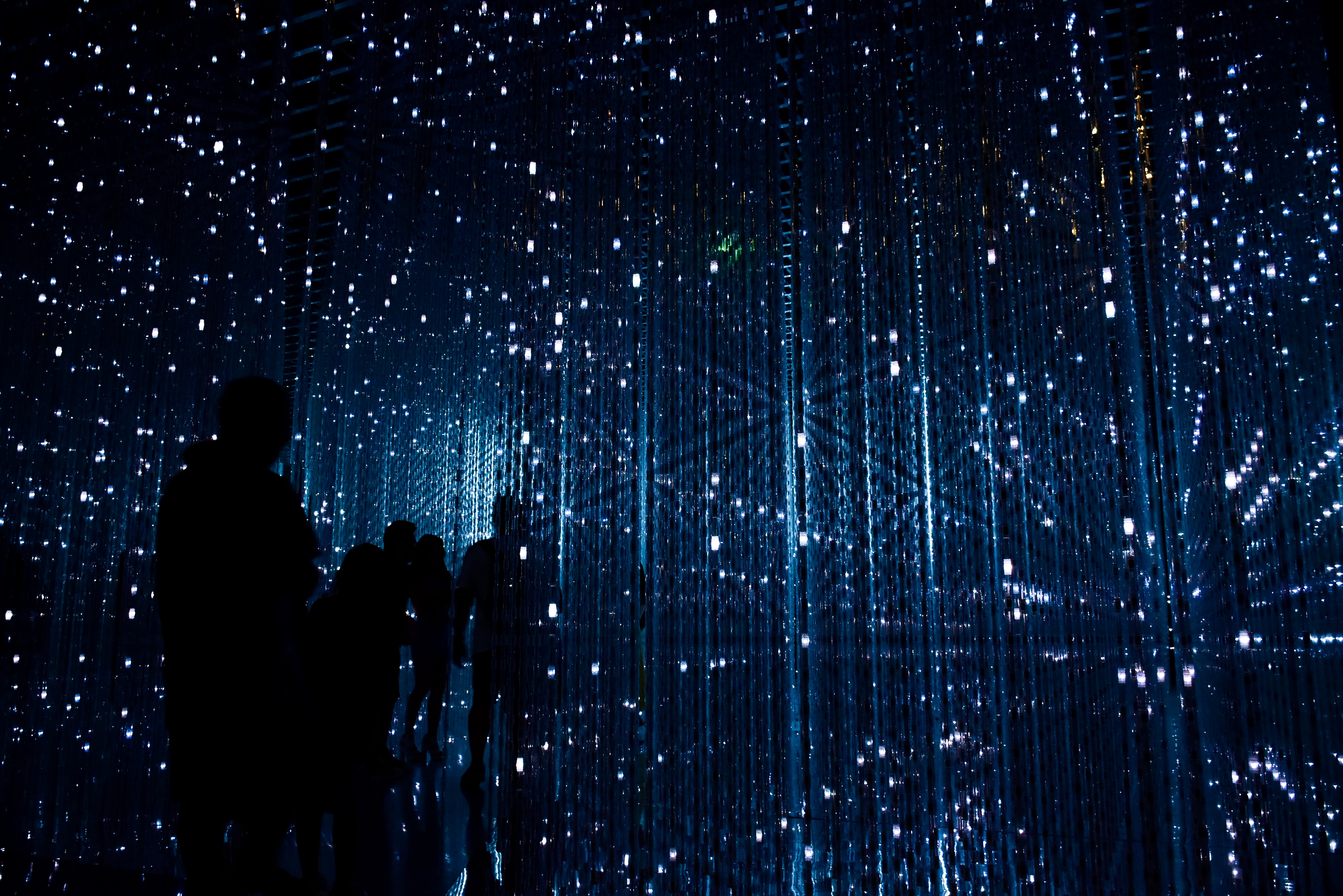 robynne hu HOrhCnQsxnQ unsplash