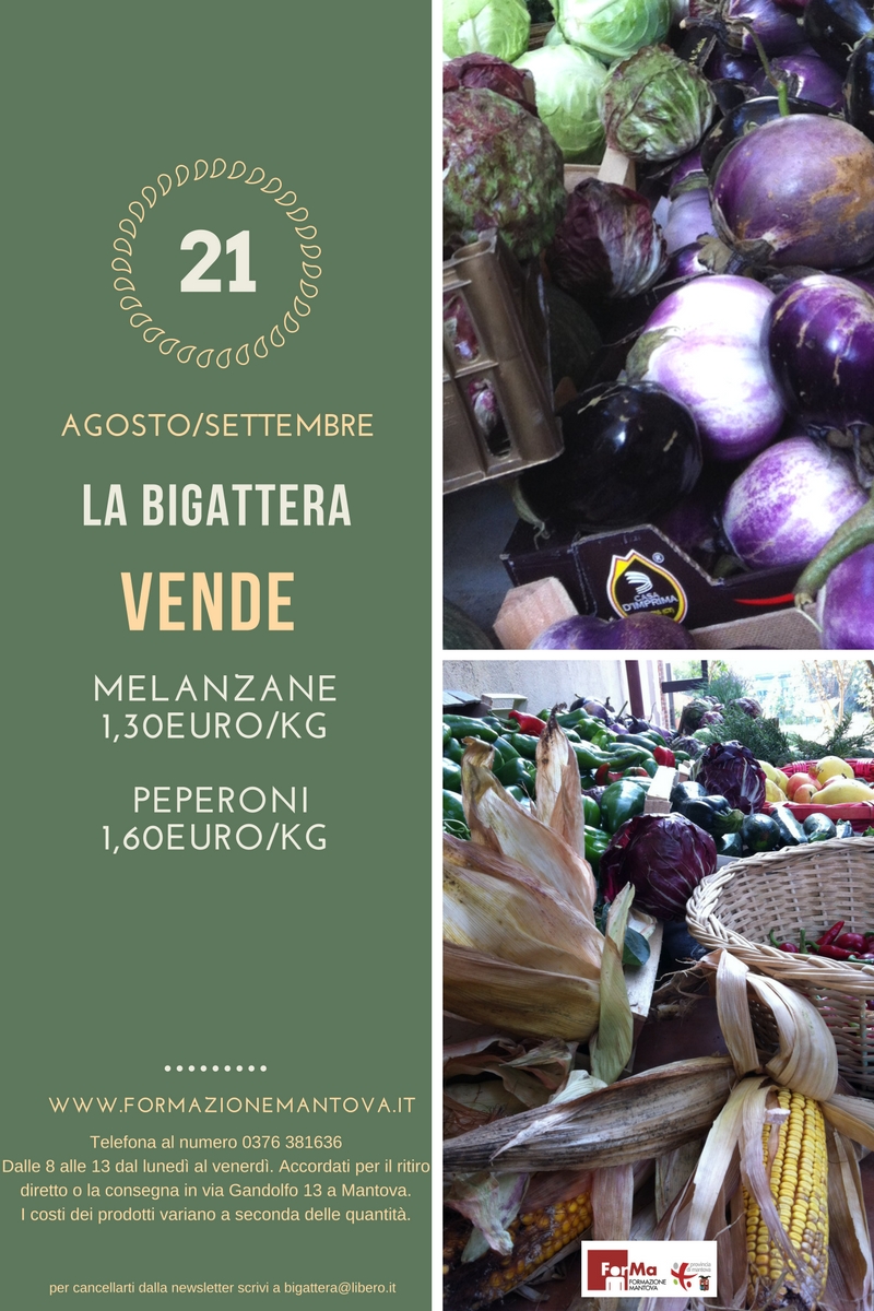 21 NEWSLETTER BIGATTERA AGOSETT16