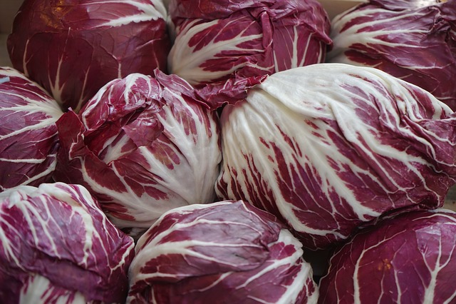 radicchio-318197 640